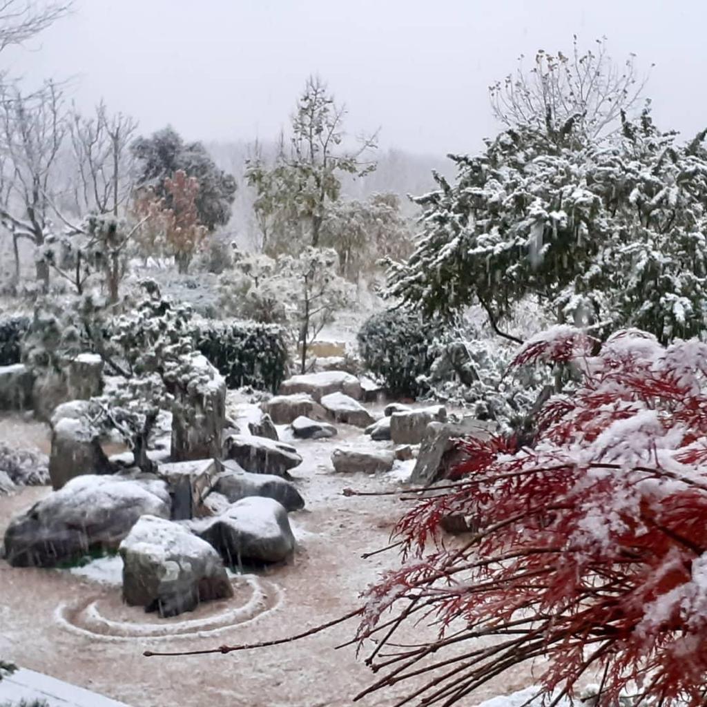 Jardin japonais sous la neige