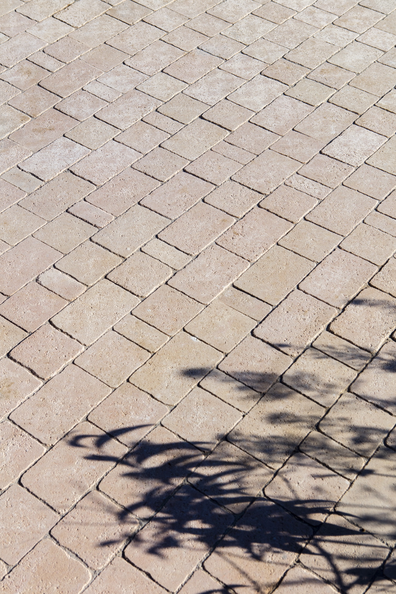 Pavé Tépia – Image 2